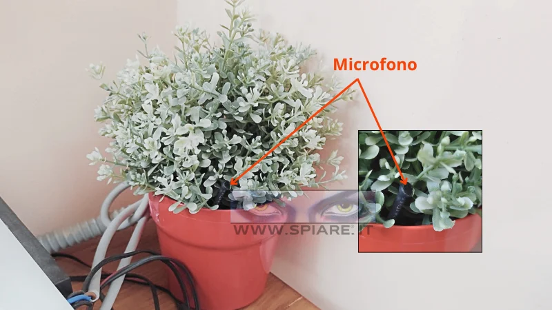 il piccolissimo microfono esterno quasi invisibile tra le foglie di una pianta sintetica dove abbiamo occultato il registratore professionale