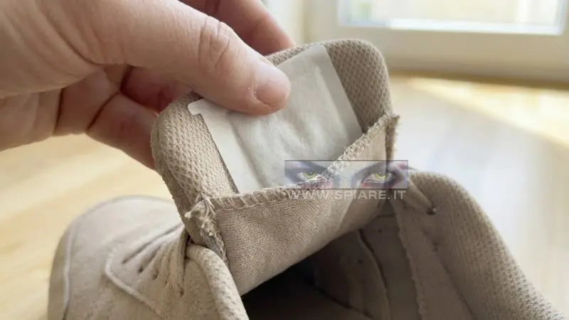 GPS Alzheimer scarpa