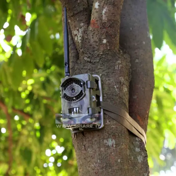 Fototrappola 3G professionale fissata a un tronco d'albero per videosorveglianza boschiva e monitoraggio sicurezza outdoor.